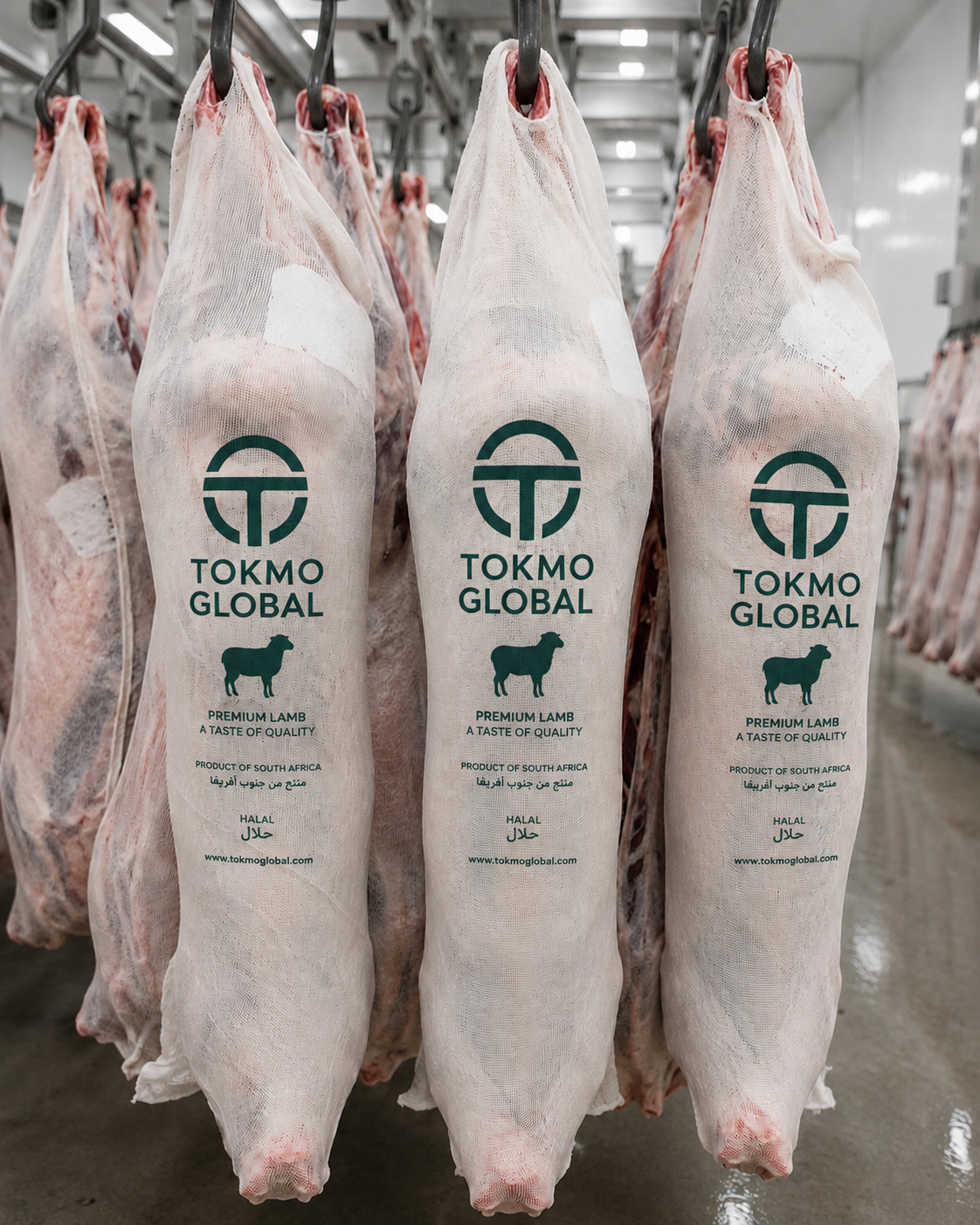Tokmo Global branded premium lamb carcasses in cold storage